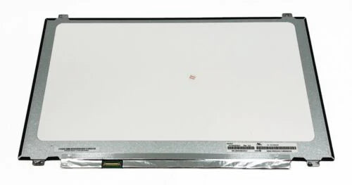 Chi Mei N173HCE-E31 17.3 LCD Display Panel Screen Non-Touch Screen FHD Y4PG7 859439-001 5D10R65304 5D10Q59856